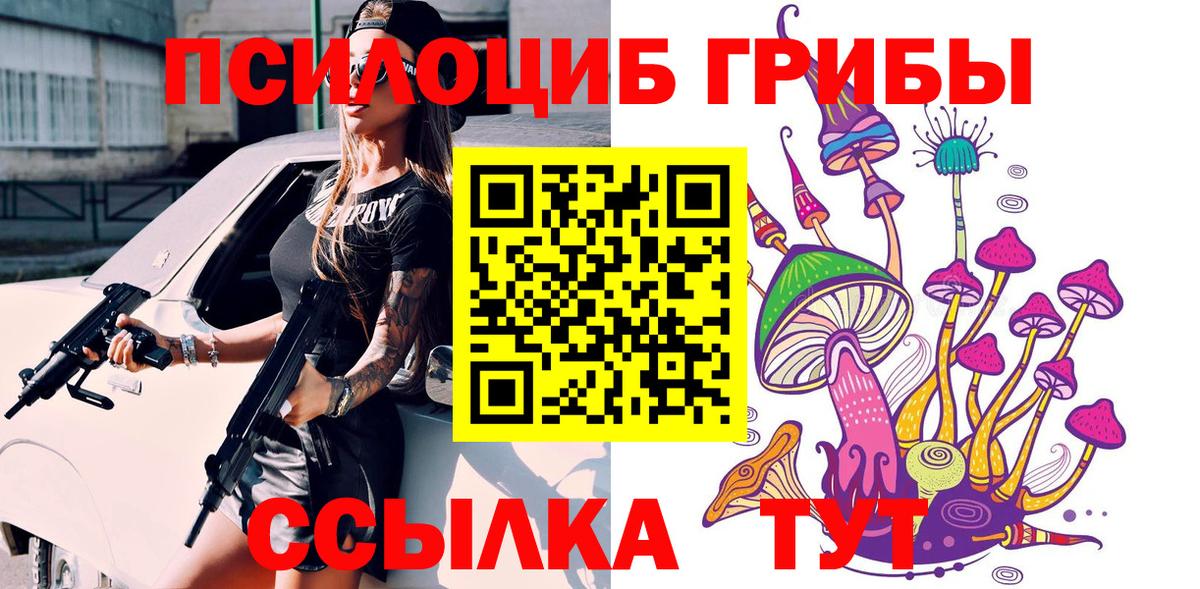 Псилоцибиновые грибы Cubensis Котлас