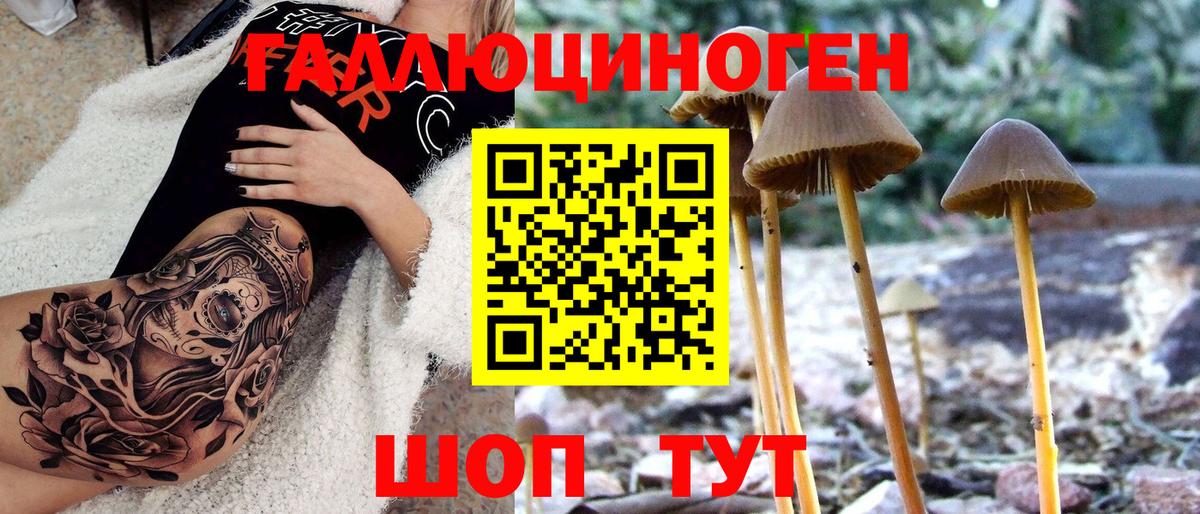 Псилоцибиновые грибы Psilocybine cubensis  Вход с VPN  Котлас 